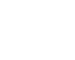 Flex-tech-logo